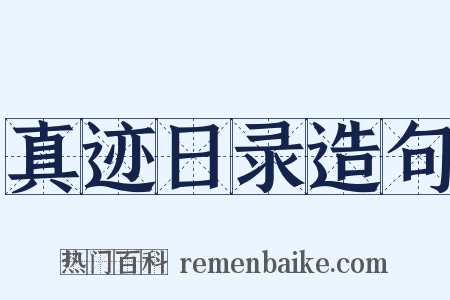 真迹日录造句是什么意思的图片